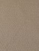 SWATCH Pure Wool Coating Fabric - Champagne