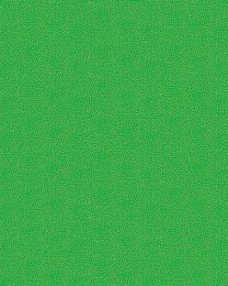 Christmas Patchwork Fabric - Christmas Essentials - Pin Dot Green