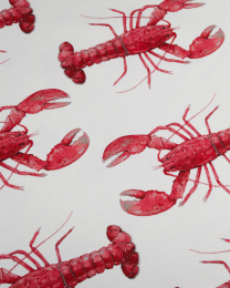 Home Furnishing Fabric - Double Width - Cape Lobster Red
