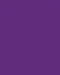 Patchwork Cotton Fabric - Spectrum Solids - Real Purple