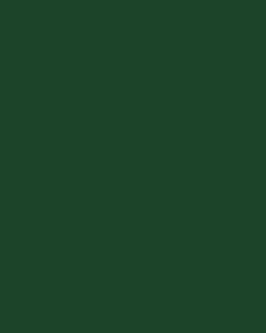 Patchwork Cotton Fabric - Spectrum Solids - Dark Green